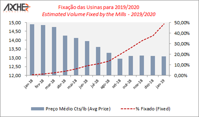 archer fixacao 1 030419