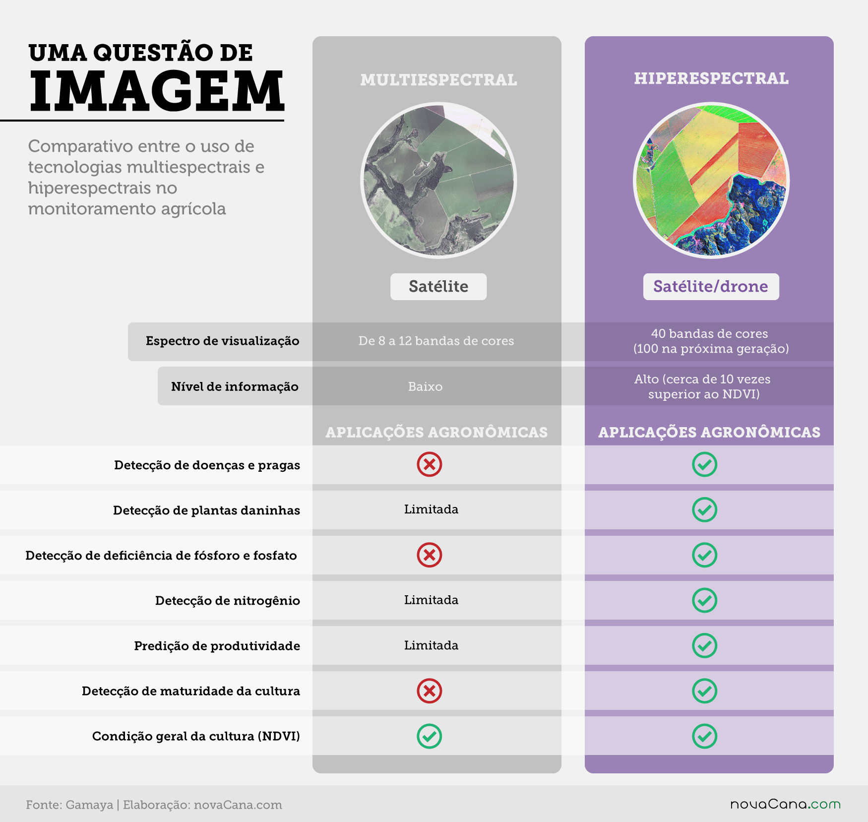 branded gamaya comparacao imagem