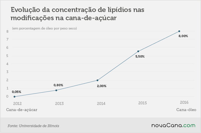 canaoleo 2 concentração 29.03