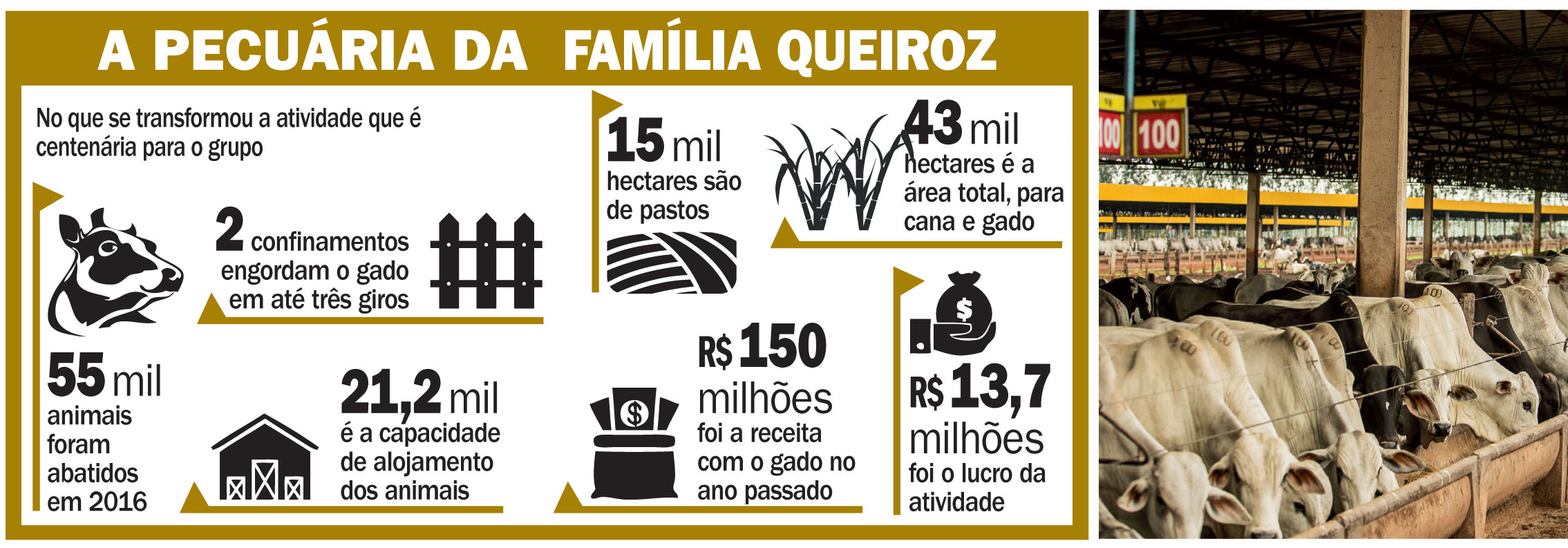 cerradao info 100817