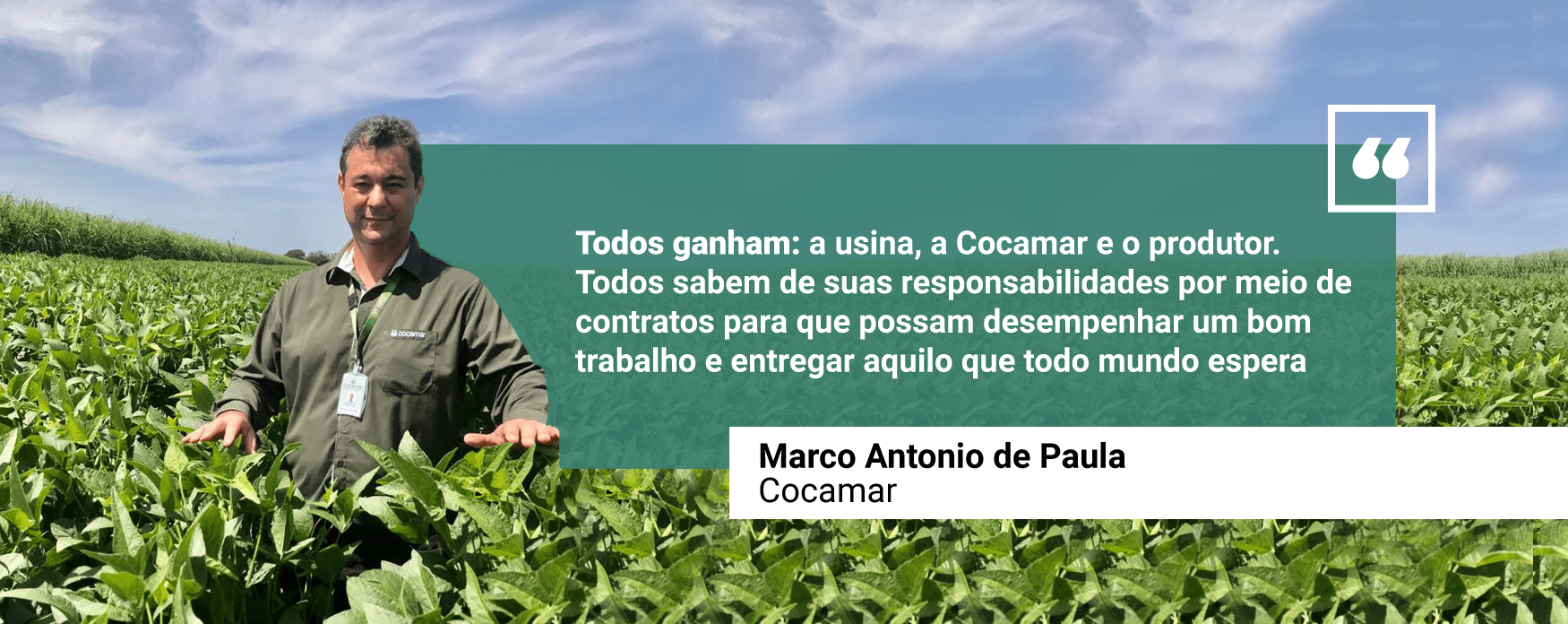 cocal meiosi frase 171220