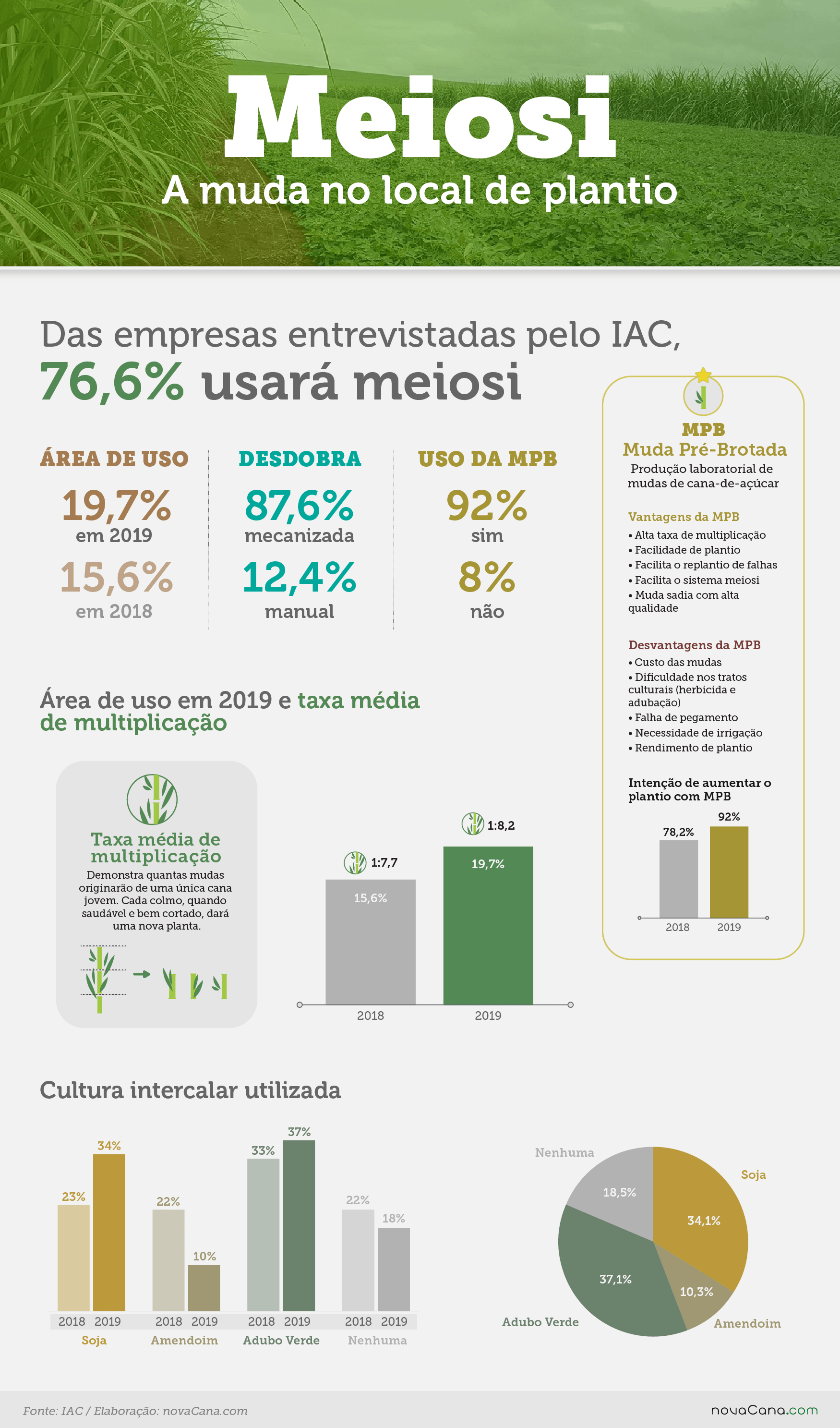 meiosi 2 especificidades