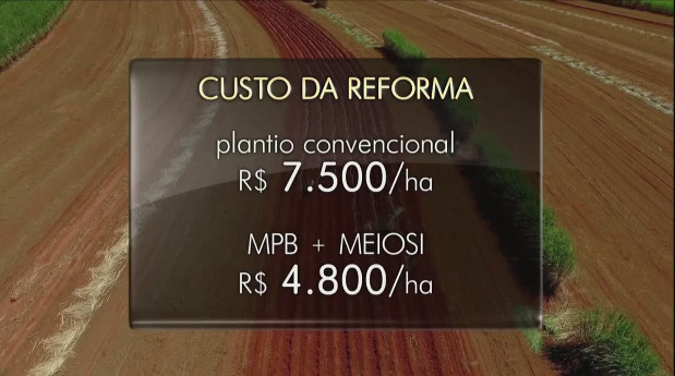 mudas-reforma-250417