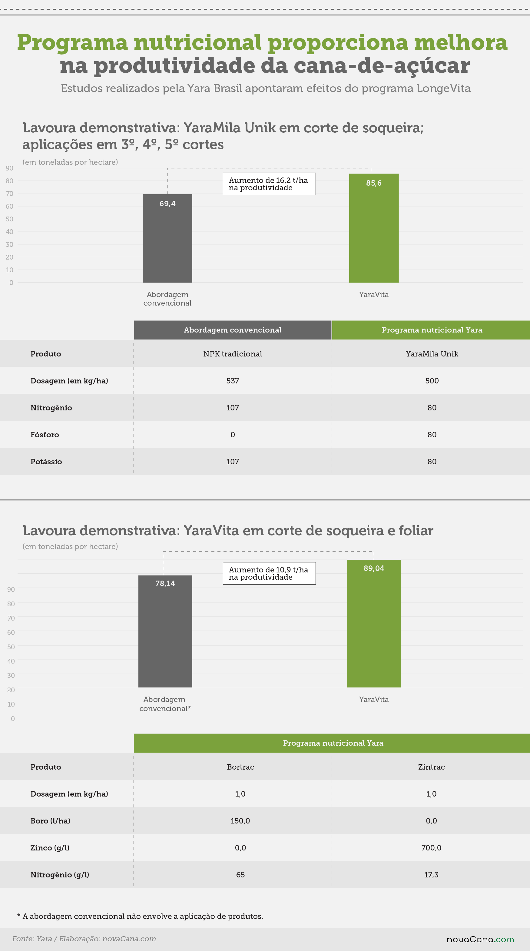 yara longevita estudos V6