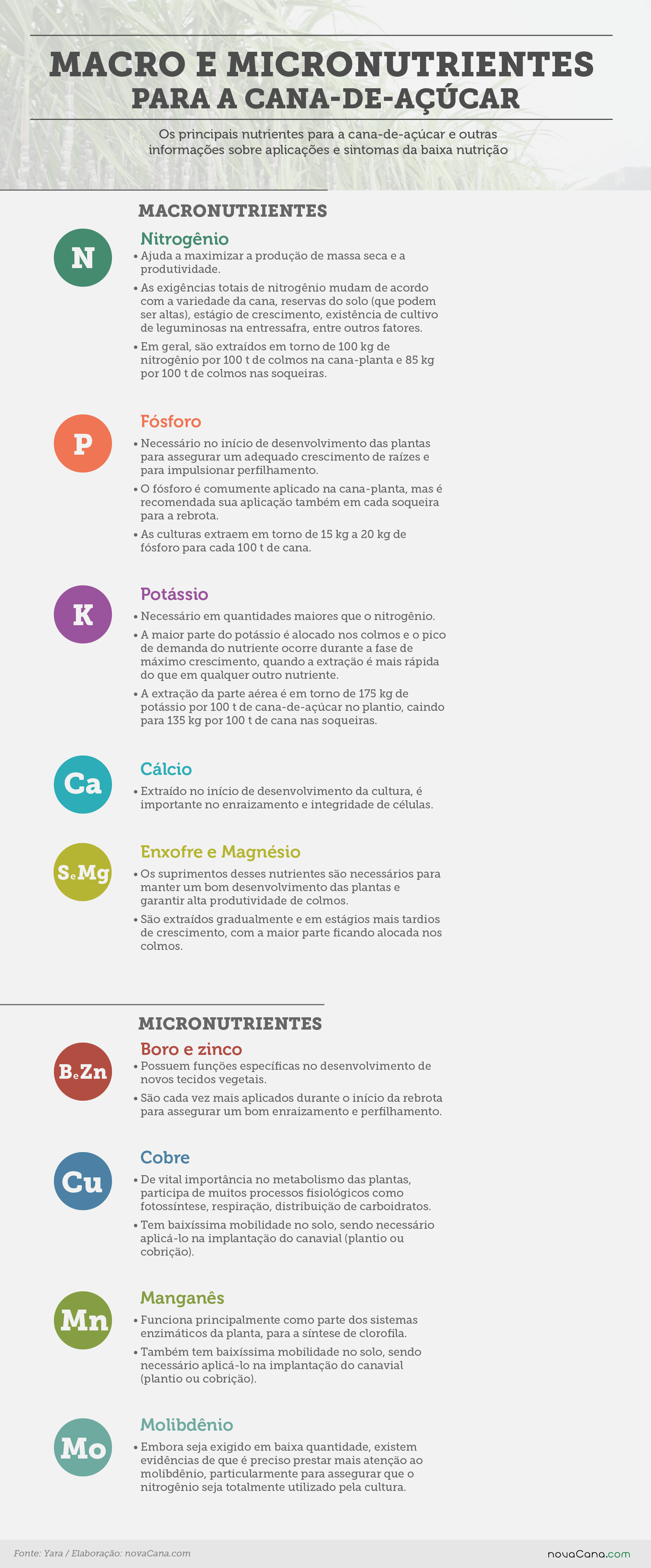 yara macro micronutrientes