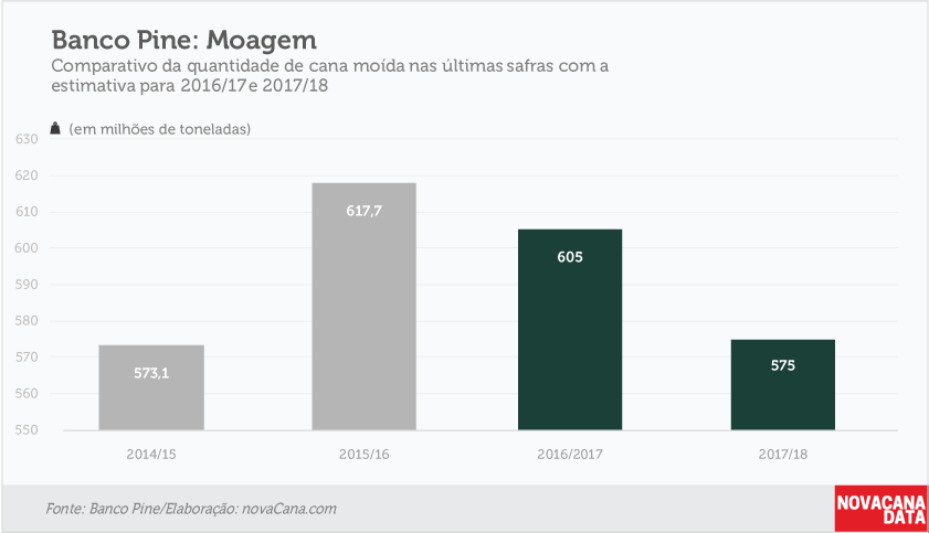 pine-220217-moagem