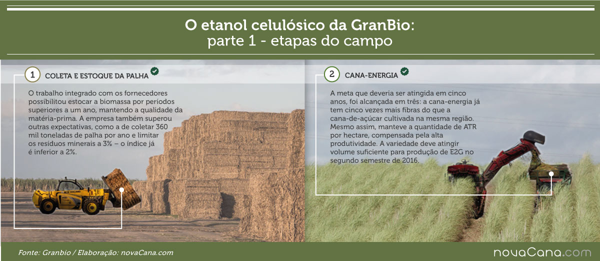 bioflex investimentos
