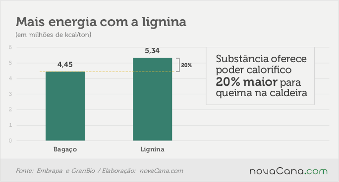 lignina-3
