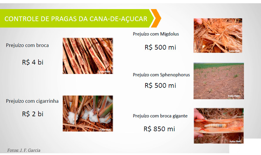 broca slide ctc1 v2