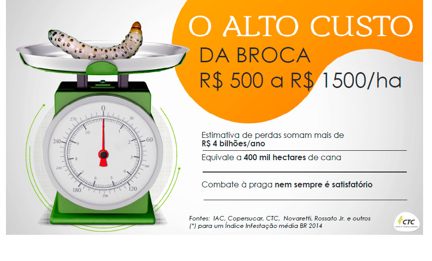 broca slide ctc2