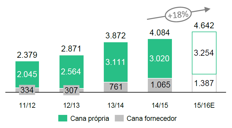 cerradinho-2015-1-cana