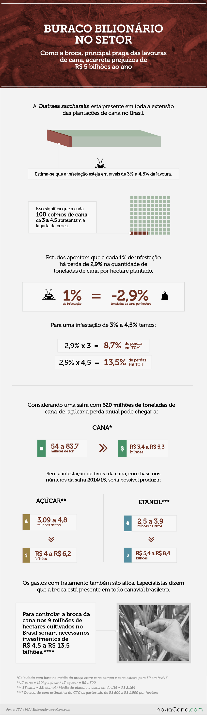 infografico broca cana 040416
