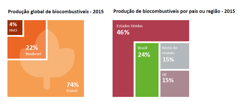 ren21-210616-participacao biocombustiveis