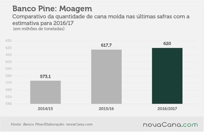 31082016 pine-moagem