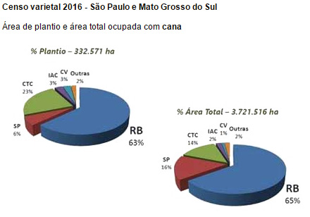 censo-varietal-310816