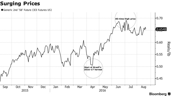 sugar-rally-1-310816