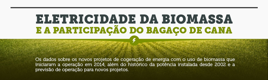 Eletricidade da biomassa e a participação do bagaço de cana