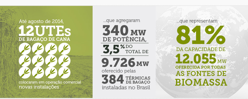 12 térmicas de bagaço de cana: 340MW de potência