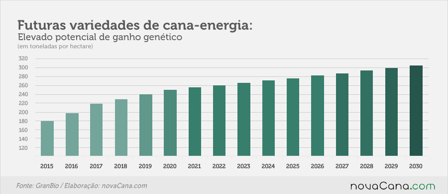 Engenharia genética: o desenvolvimento de futuras variedades de cana-energia