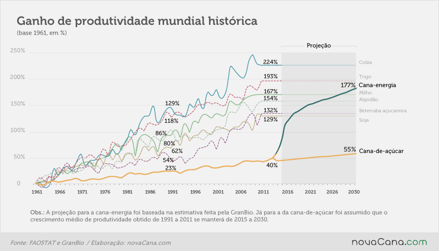 Cana x outras culturas: evolução da produtividade
