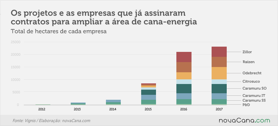 As empresas que já estão investindo na cana-energia