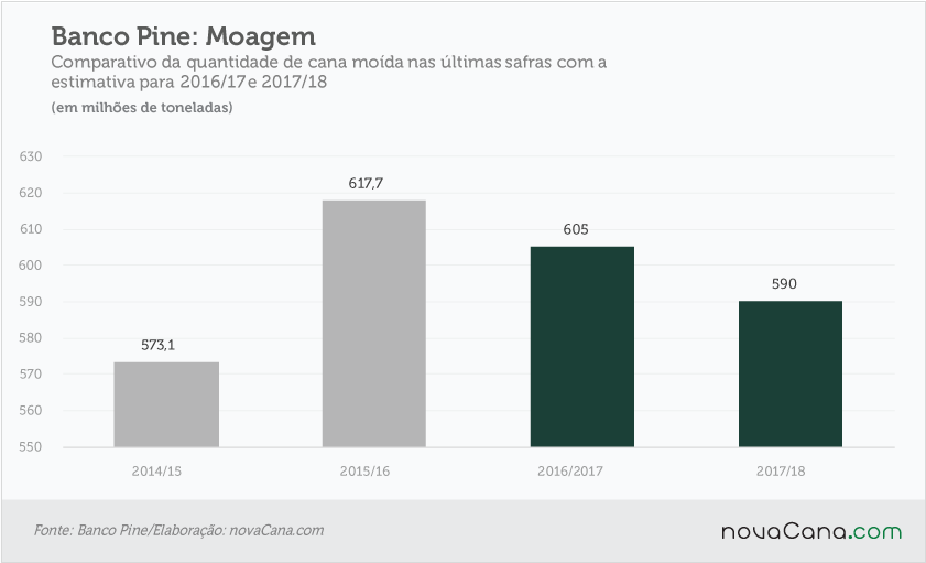 pine-031116-moagem