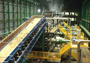 Da mata usina