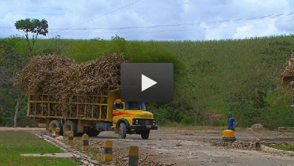 bagaco-cana-video-271112