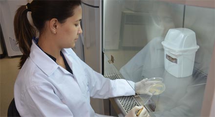 enzimas-etanol-2g-091112