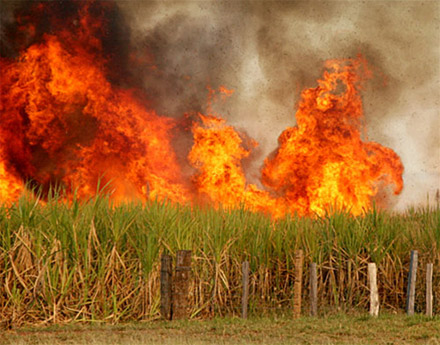 queimada-cana-201212