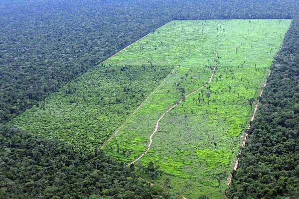 amazonia-cana-dematamento-170513