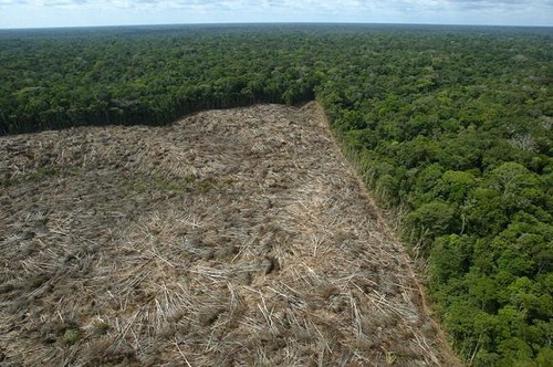 amazonia desmatamento 250913