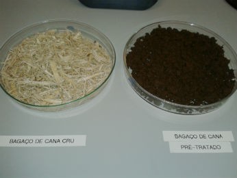 bagaco-220713
