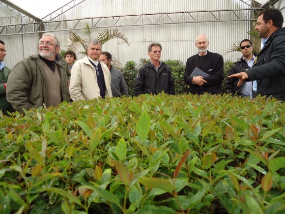 camara agroenergia rs 190913