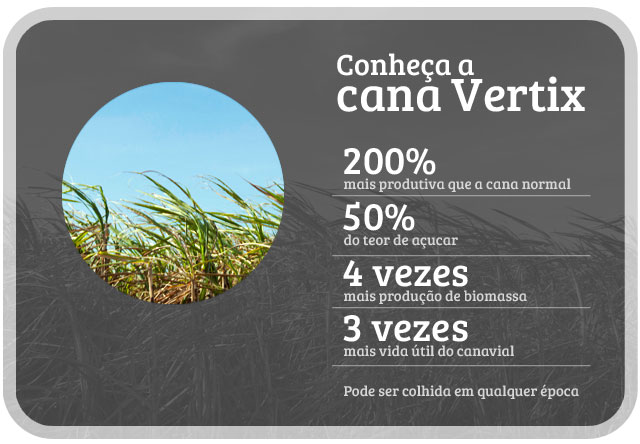 canavertiximg