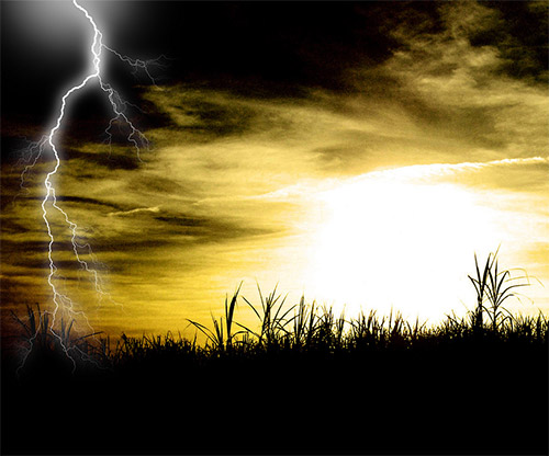 Tempestade no canavial