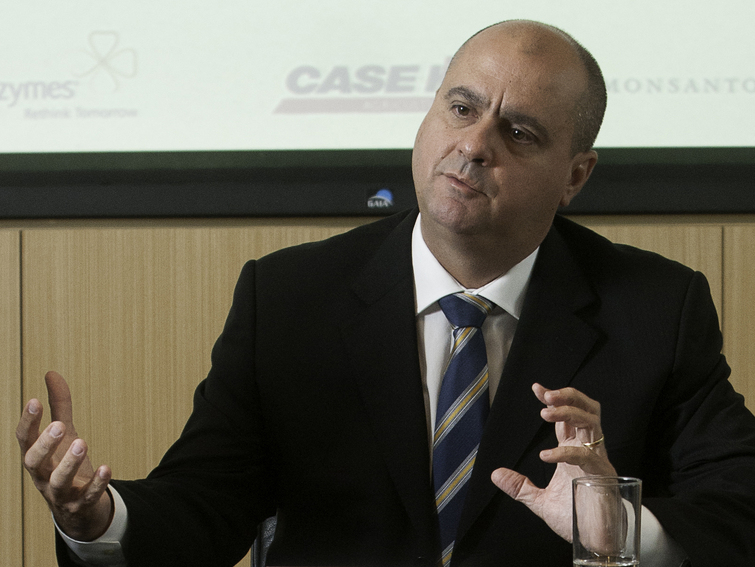 Carramate: Monsanto quer acelerar viabilidade do plantio comercial de sorgo cerramate-monsanto-230113