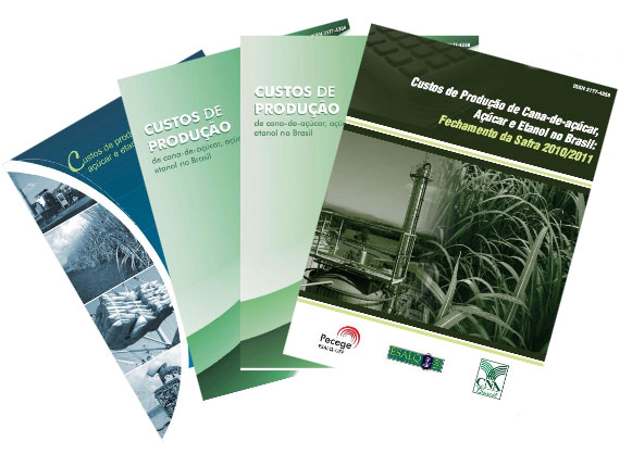 custo-producao-pecege-260913