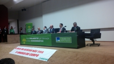 frenteparlamentar 061113
