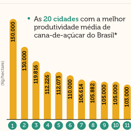 graf-20-cidades-