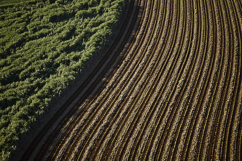 iluc-terra-190613
