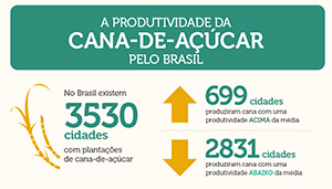 infografico-cana-1