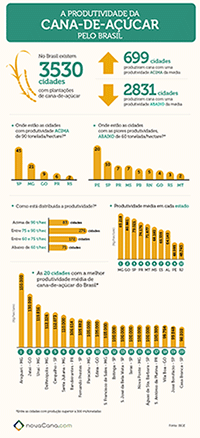 infografico produtividade cana mini v2