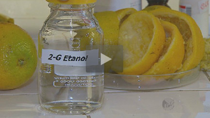laranja-etanol-140513