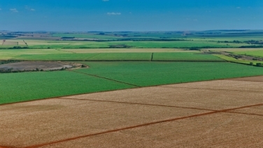 plantio-cana-area-110113