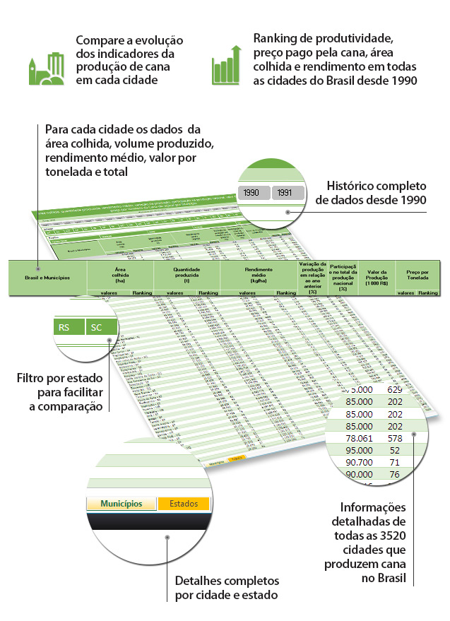 produção-de-cana 01d