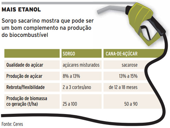 Sorgo sacarino vs Cana de açúcar: qualidade, produção rebrota e produção de biomassa Sorgo sacarino vs Cana de açúcar: qualidade, produção rebrota e produção de biomassa