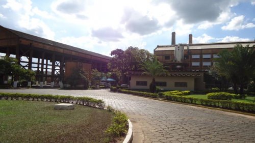 usina-campestre-penapolis-020413