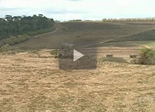 video-estiagem-alagoas-180413