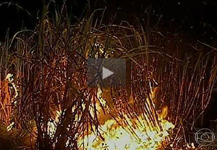 video-queimada-030613